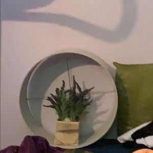 Meet your Posher, Evelyn